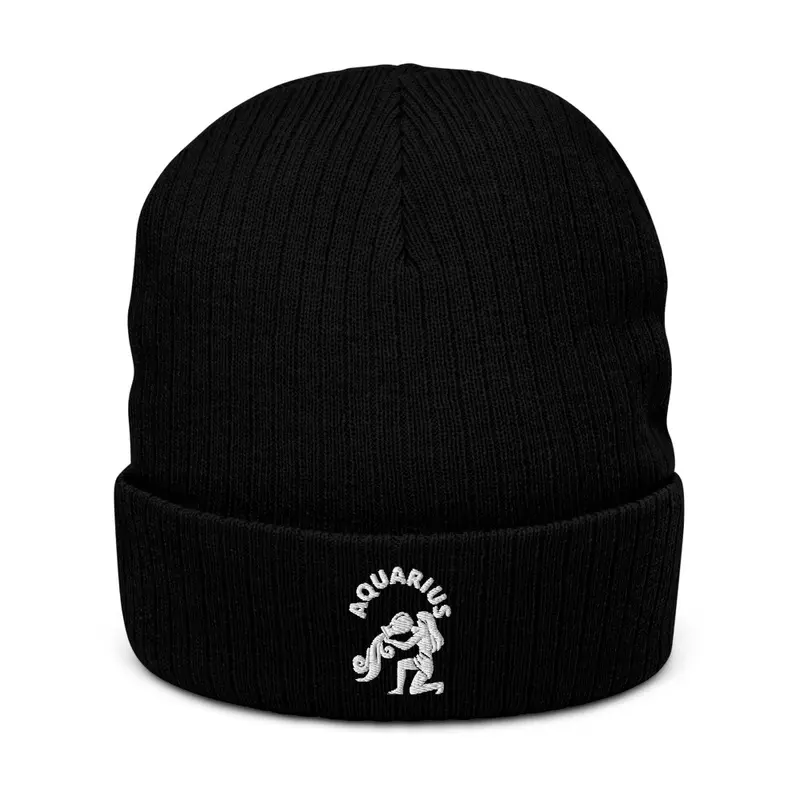 Aquarius embroided knit beanie